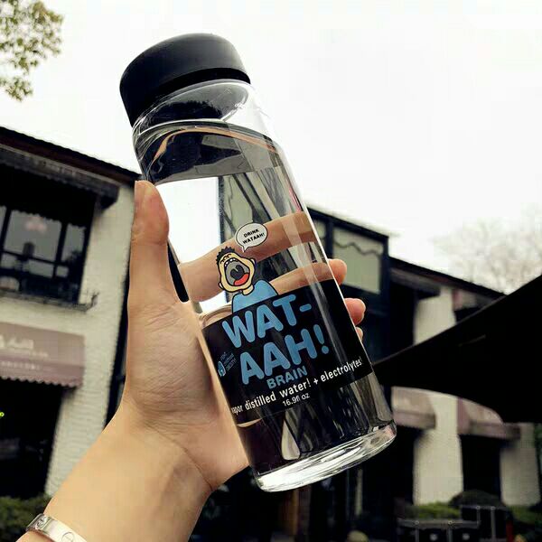 Glass Water Bottle