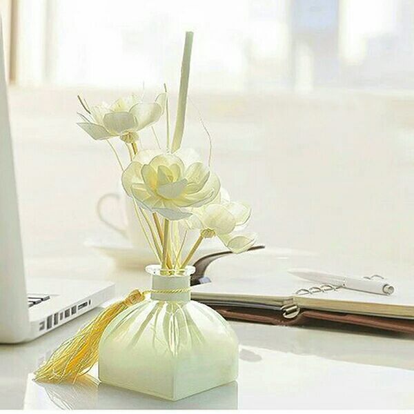 Glass Diffuser Bottle